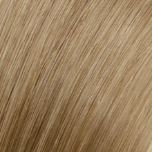 Load image into Gallery viewer, 24&quot; Tape Hair Extensions 60g  | Champagne Blonde #27